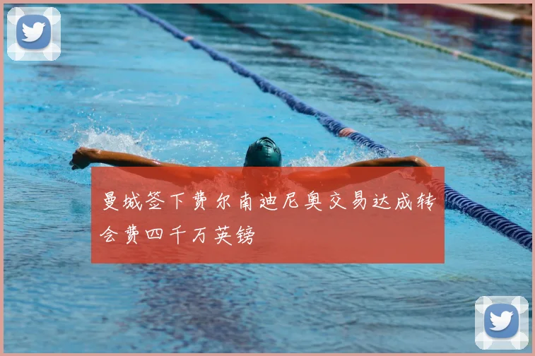 曼城签下费尔南迪尼奥交易达成转会费四千万英镑