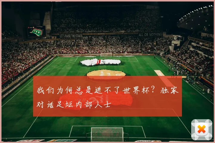 我们为何总是进不了世界杯？独家对话足坛内部人士