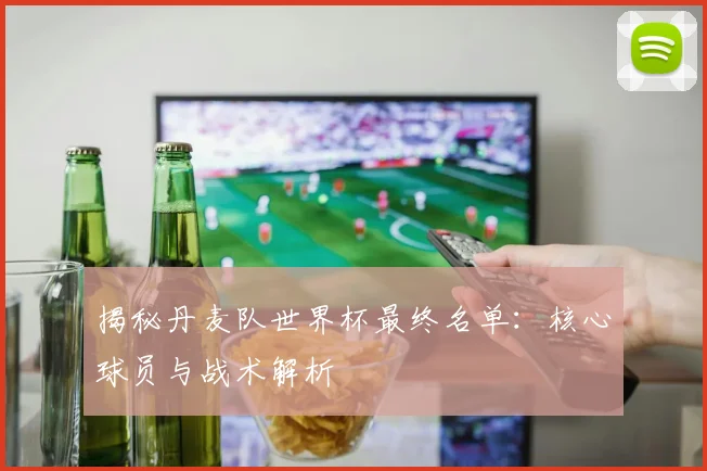 揭秘丹麦队世界杯最终名单:核心球员与战术解析