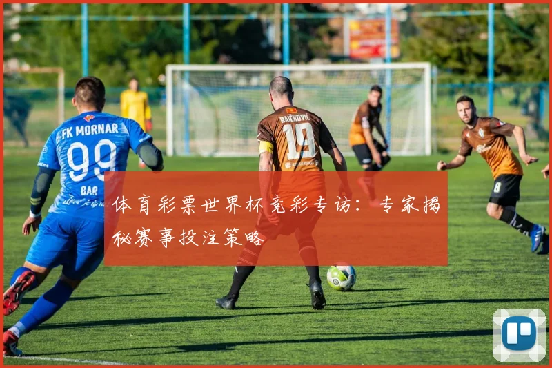 体育彩票世界杯竞彩专访：专家揭秘赛事投注策略