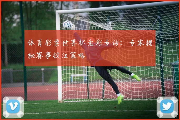 体育彩票世界杯竞彩专访：专家揭秘赛事投注策略