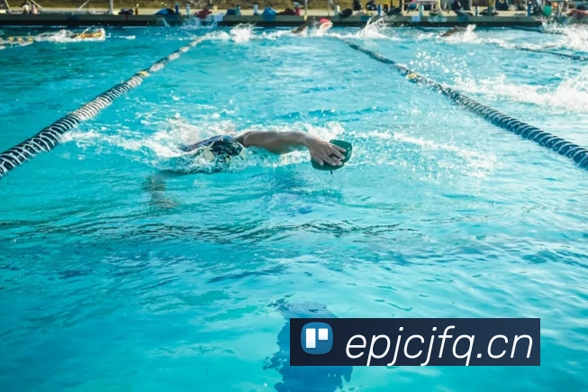 多媒体互动体验